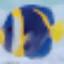 meanfish.fi