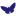 newforesttransition.org.uk