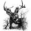 nodeer.com