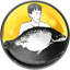 solartackle.co.uk