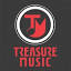 treasuremusicstore.com