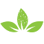 treesense.net
