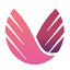 vibrancy.co