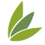 agelessmedspa.net