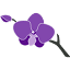 alwaysbeautiful.net