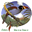 birdlist.org