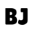 blossomjunction.com