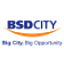 bsdcity.com
