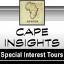 capeinsights.com