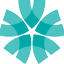 carfi.net.au