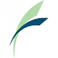 curvafix.com