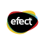 efect.ro