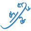 lizard.pl