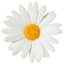 miniessay.com