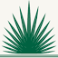 palmettocenter.com