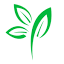 premierwoodsuae.com