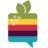 protocolfc.com
