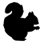 squirrelforum.com