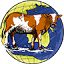 steerplanet.com