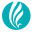 swanturismo.com.ar