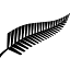 teamallblacks.com