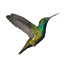 aviariopicaflor.cl