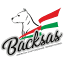 backsasamstaff.com