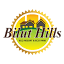 biluthills.com