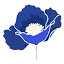 bluepoppy.com