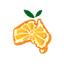citrusaustralia.com.au