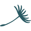 dandelionmarketing.com