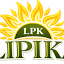 lipikamehandi.com
