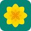 partyof.wales