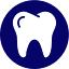 tampacosmeticdentist.com