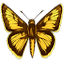 thenaturalgarden.net