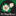 thevillageblossom.com