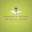 upnativeplants.com