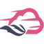 blazingfast.io