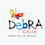 debrachile.cl