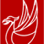 live4liverpool.com