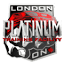platinummartialarts.com