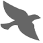 sparrowcounseling.org