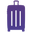 caseluggage.com