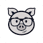 ct.fxpig.com