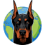 dobermanplanet.com