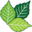 doolinglandscapeservice.com