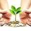 mutualfundinvestment.co.in