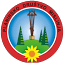 pdmislinja.si