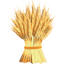 thegreatfrederickfair.com