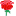 aroma.com.ua